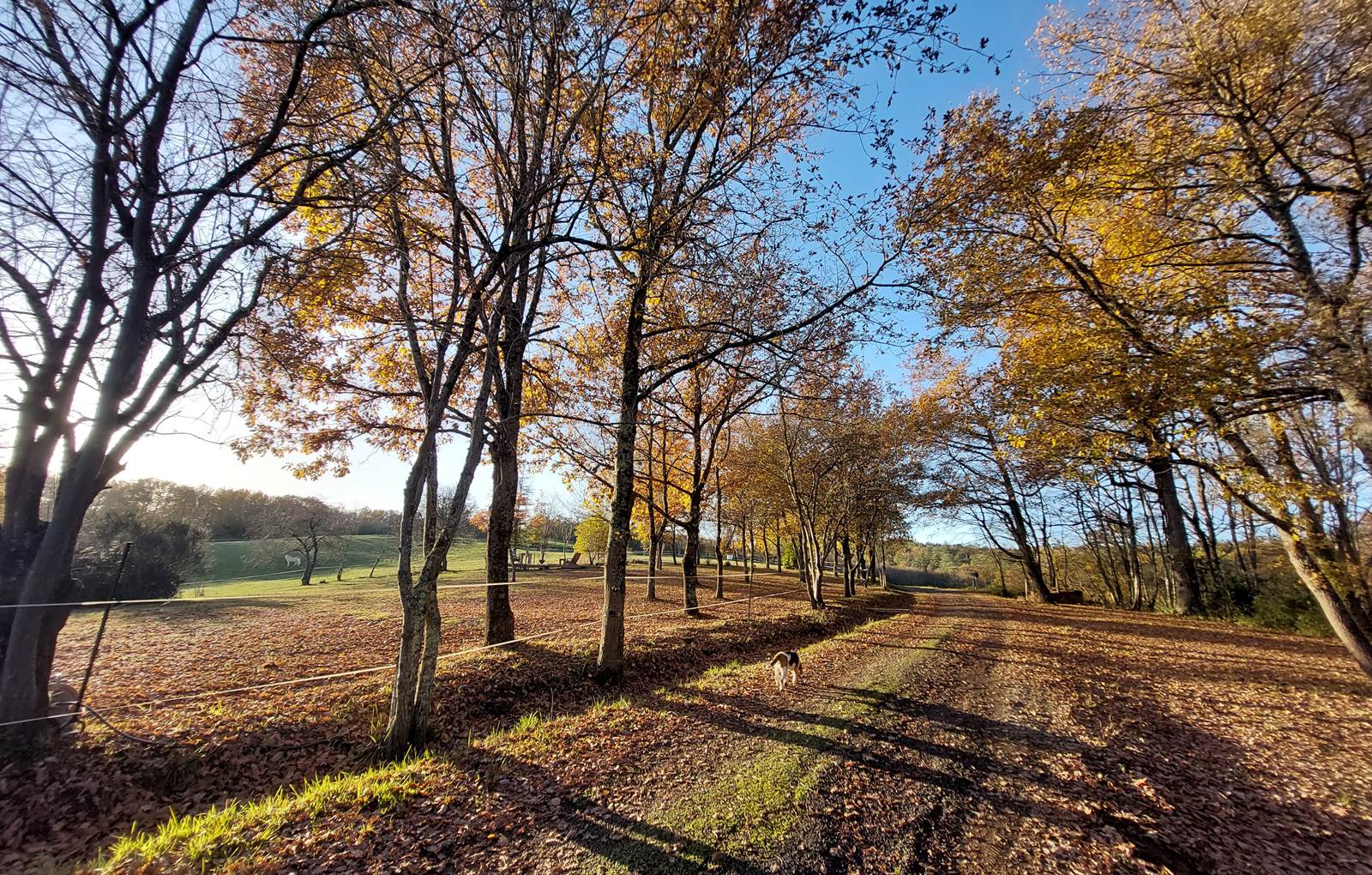 Domaine_de_Calabel©_Pouylebon_vacances_piscine_gers-carousel