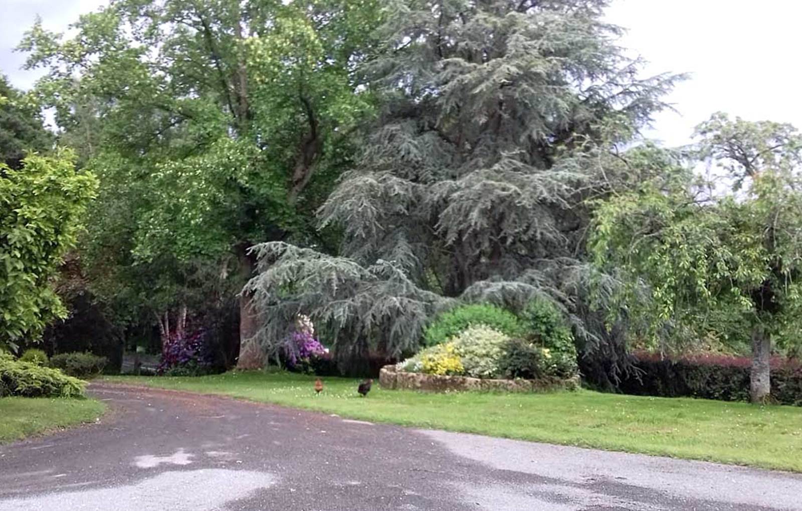 Chambre d'hôtes ferme la Gautraie Saint-James Normandie-carousel