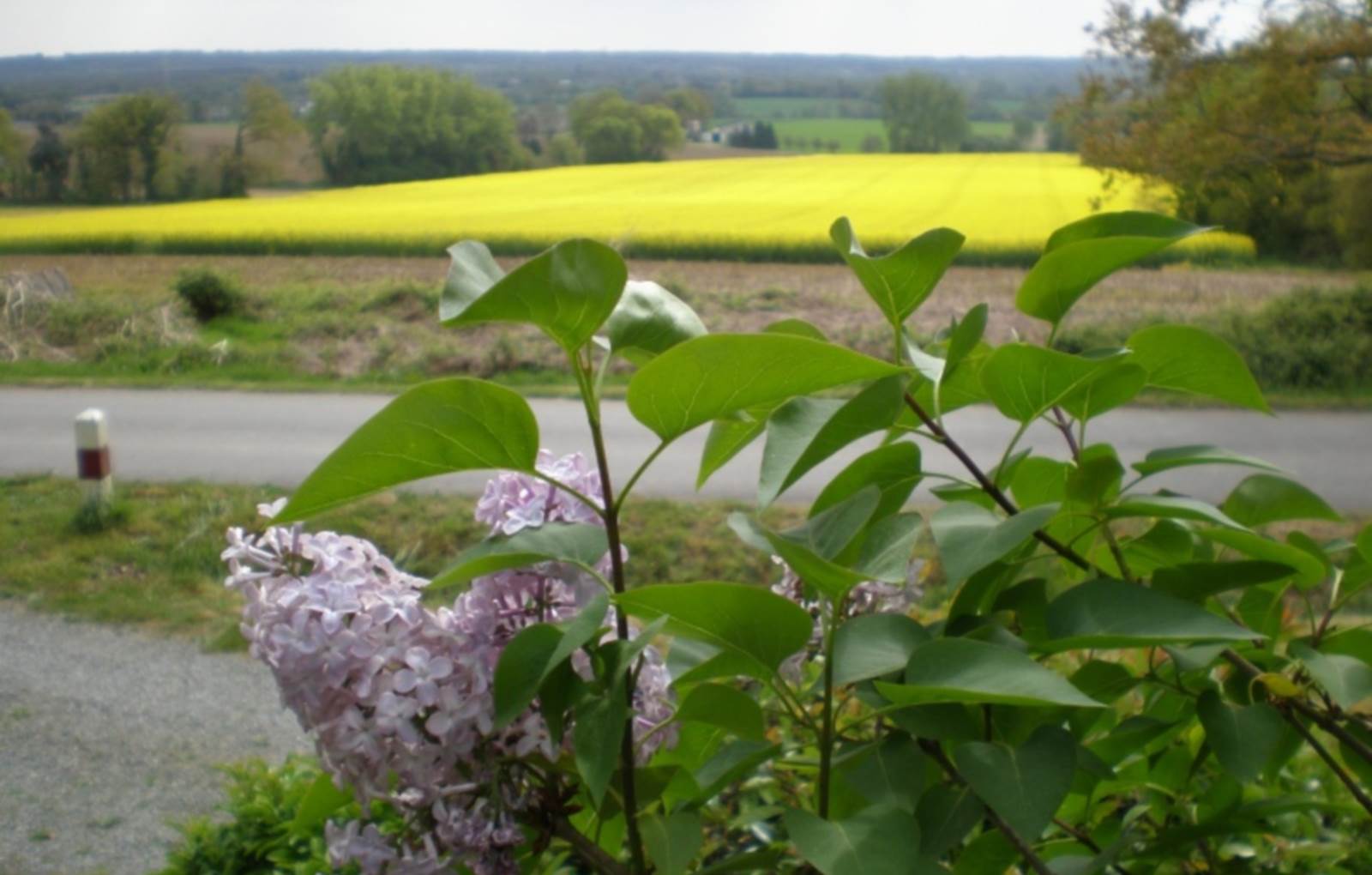 La vue du Gîte-carousel
