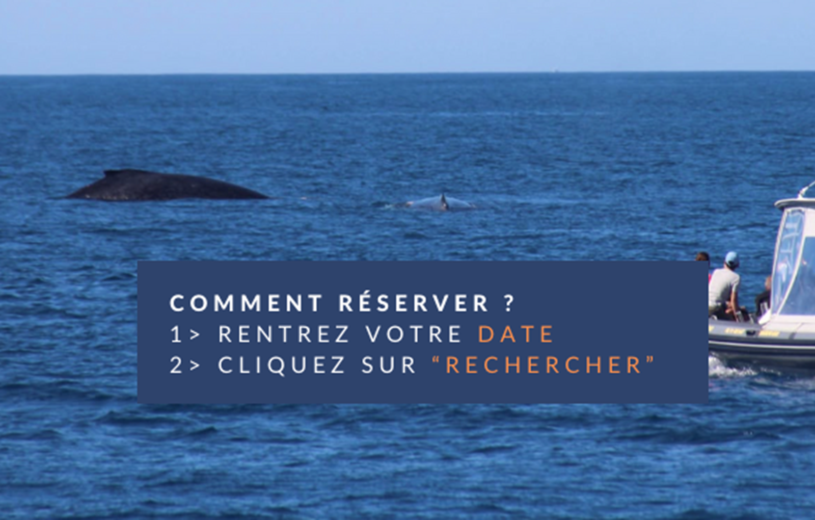 Capture d’e´cran 2025-06-02 a` 11.48.12-carousel