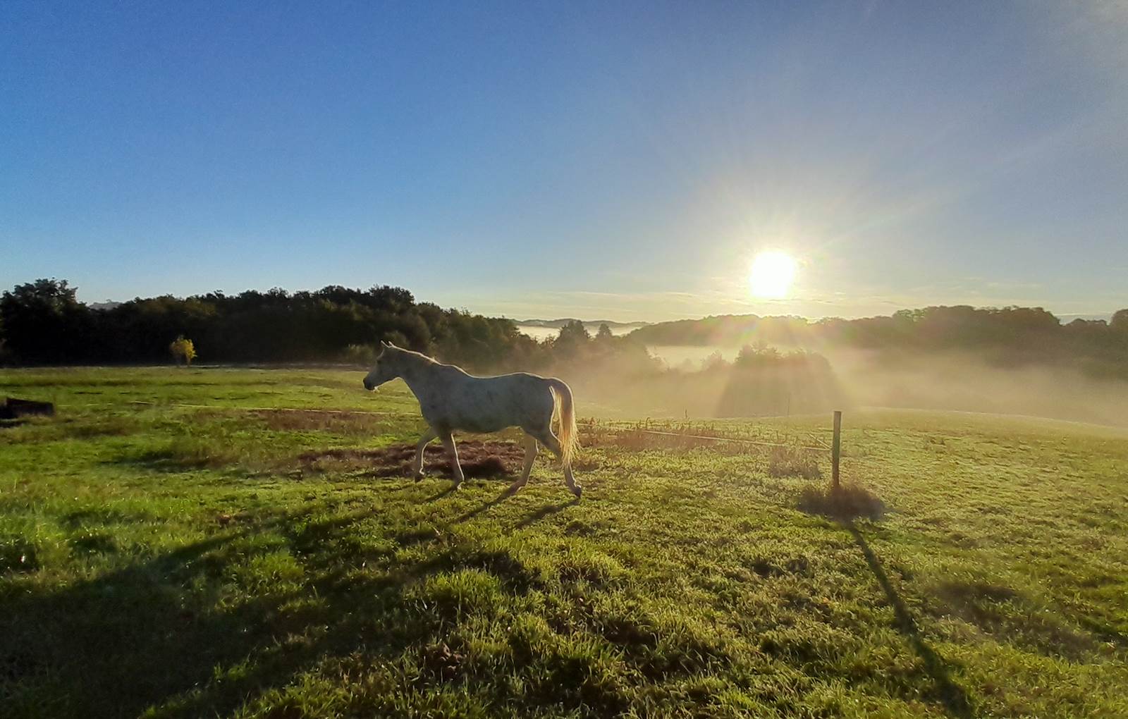 Domaine_de_Calabel©_Pouylebon_vacances_piscine_gers-carousel
