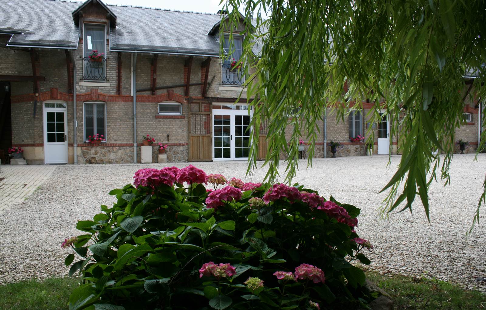 Sous le saule-carousel