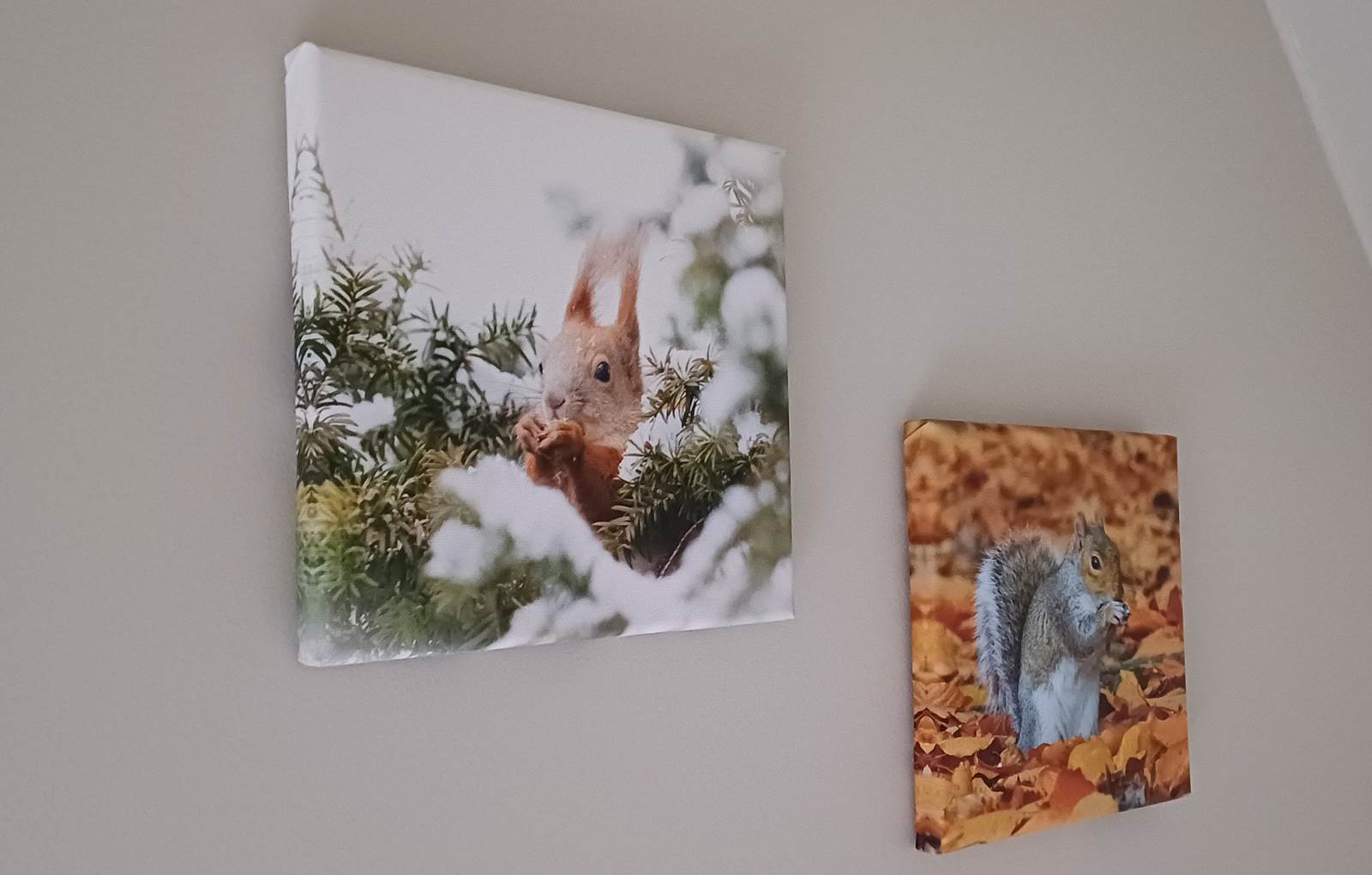 20241013_092829-carousel