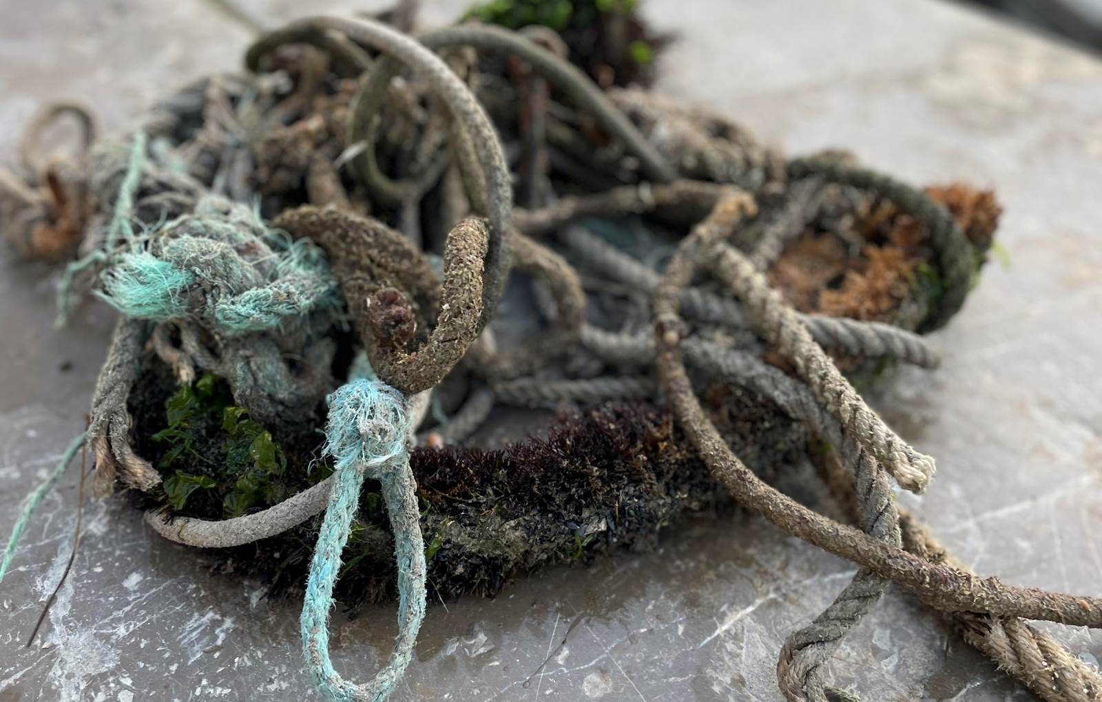 Photo d'artiste sur les canaux de Sète-carousel