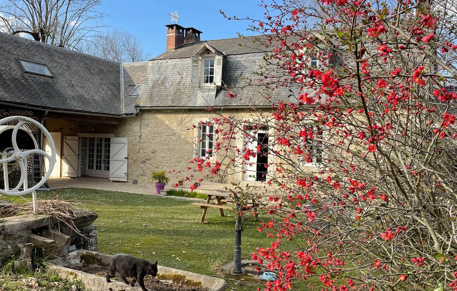 Le printemps arrive!-carousel