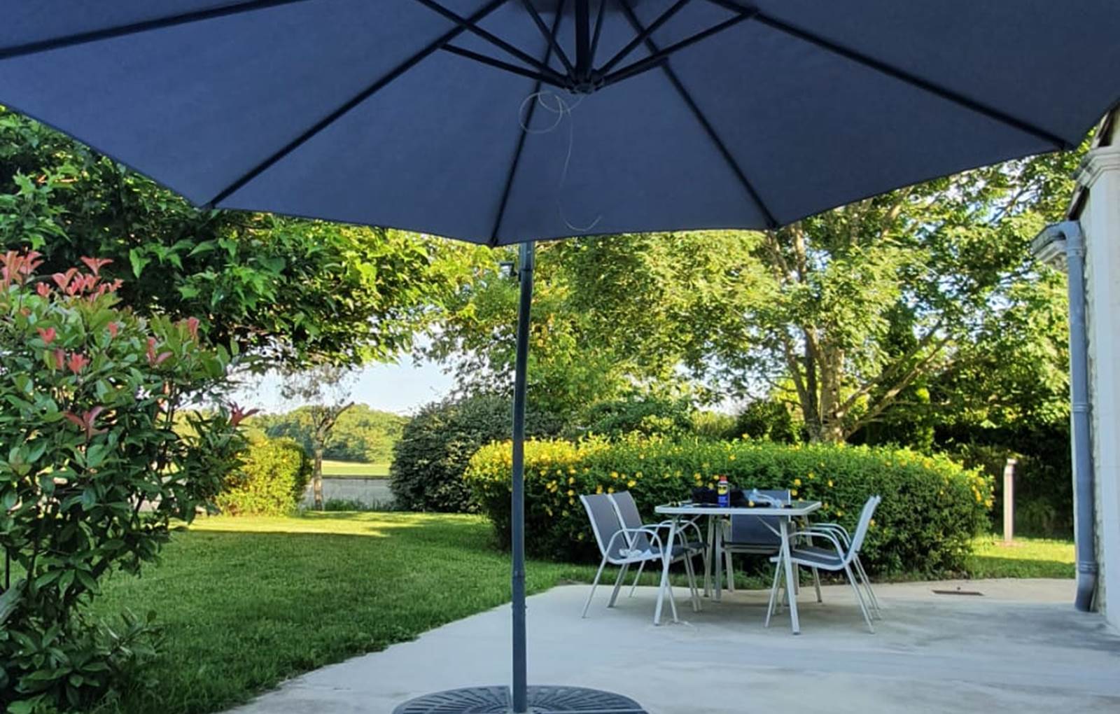 Terrasse Eucalyptus-carousel