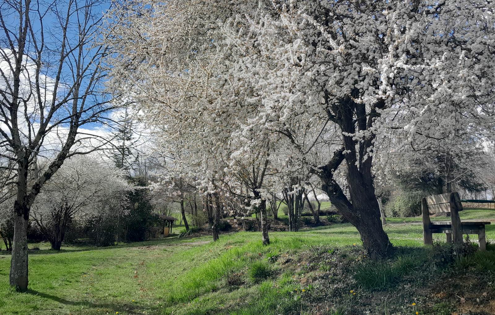 Domaine_de_Calabel©_Pouylebon_vacances_piscine_gers-carousel