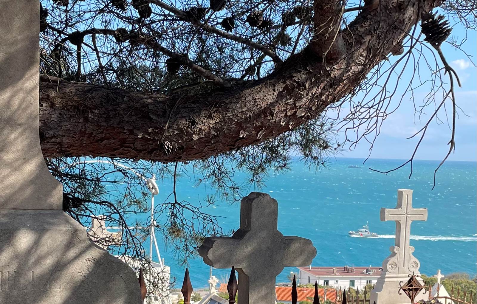 Beauté...Nom prémonitoire-carousel