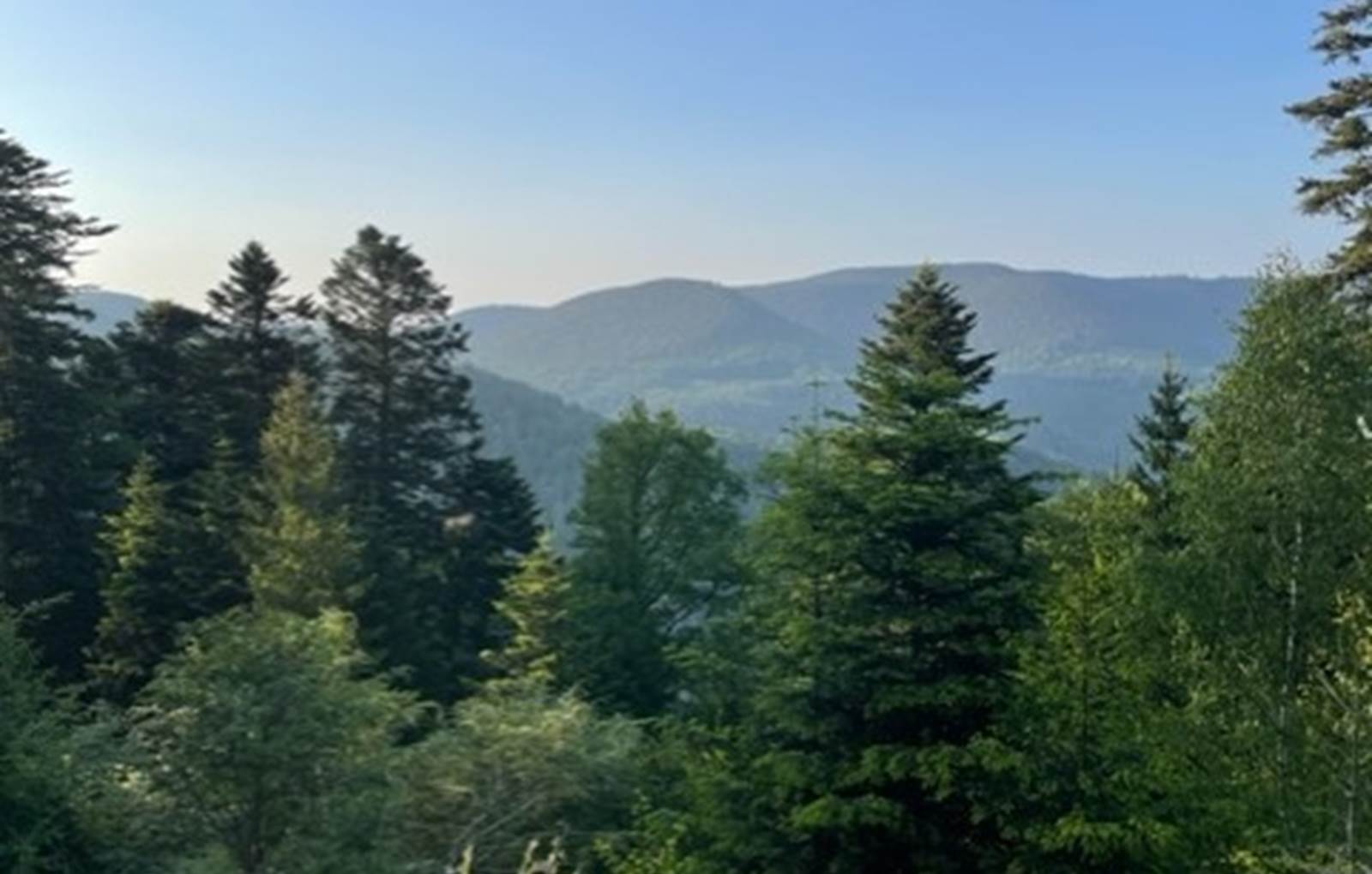 thumbnail_IMG_8884-carousel