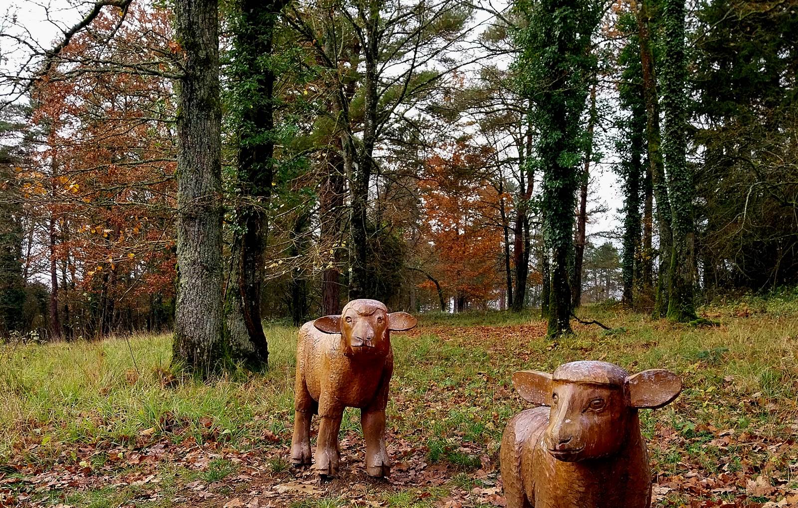 Fondry des Chiens-carousel