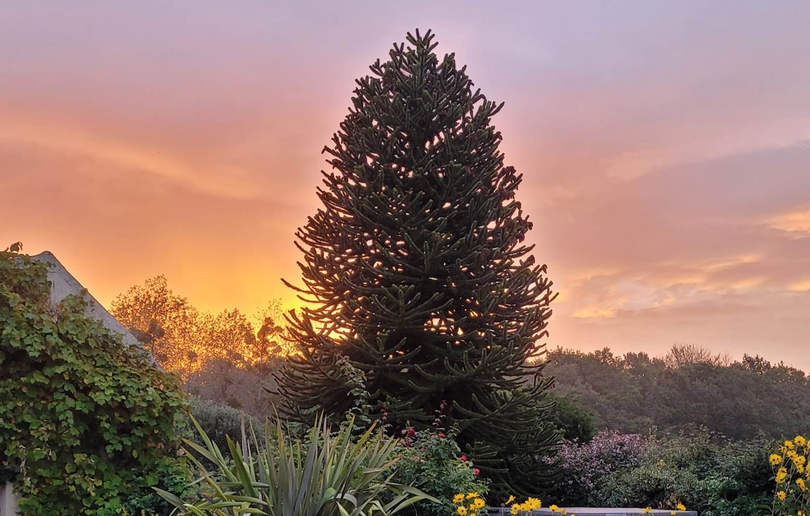 Coucher de soleil sur le spa-carousel