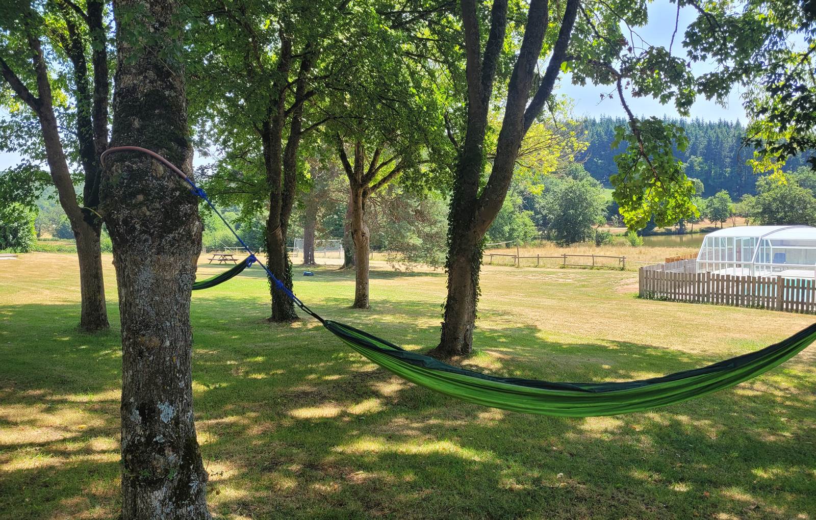 A l'ombre des arbres-carousel