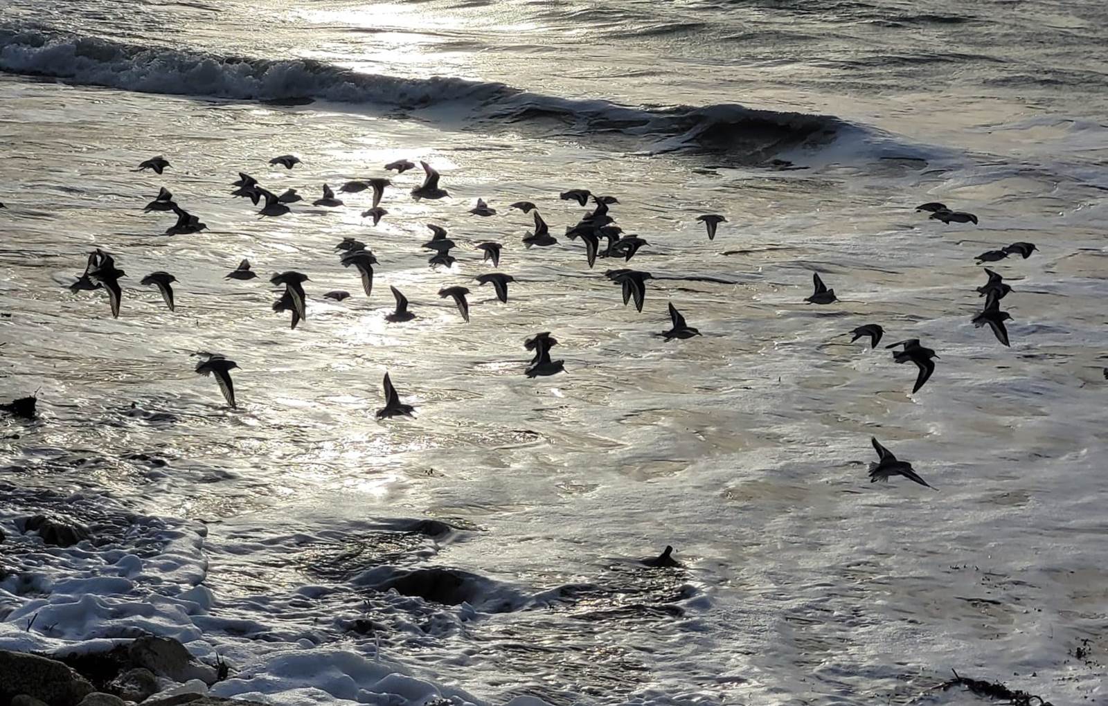Fort bloqué-carousel