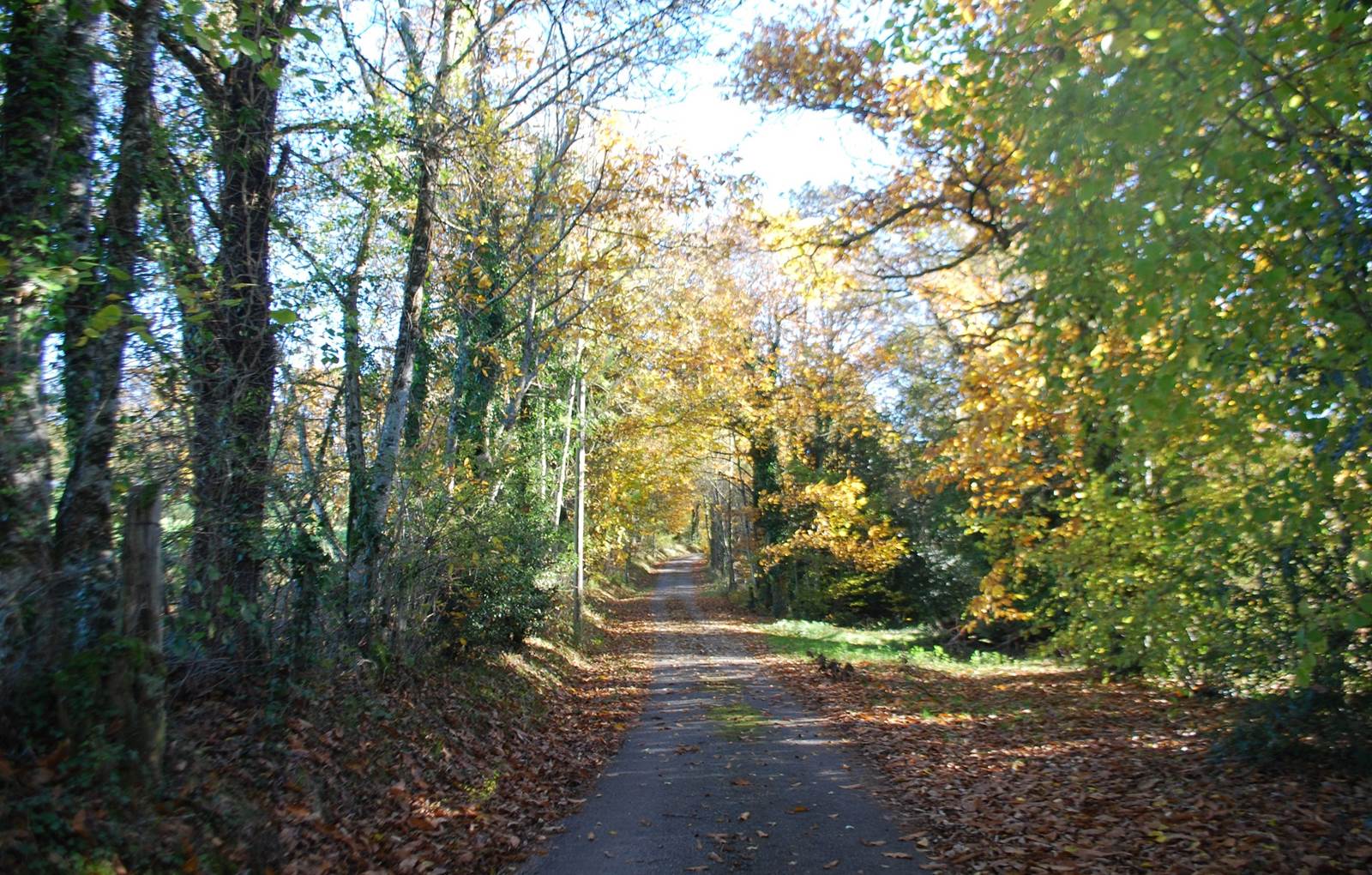 balade autour Maison du Masjoubert - respirer - se ressourcer-carousel