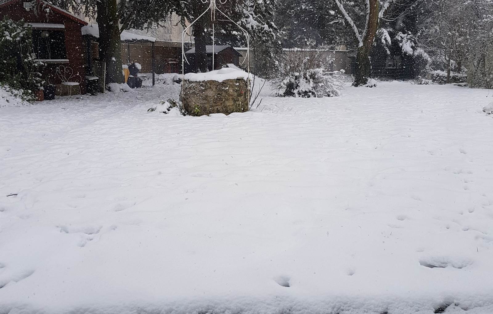 JARDIN SOUS LA NEIGE-carousel