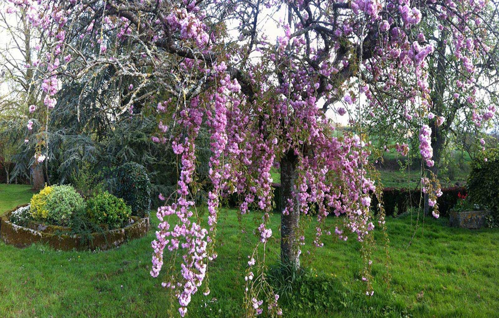 extérieur la gautraie, dormir à la ferme à proximité du mont Saint-Michel-carousel