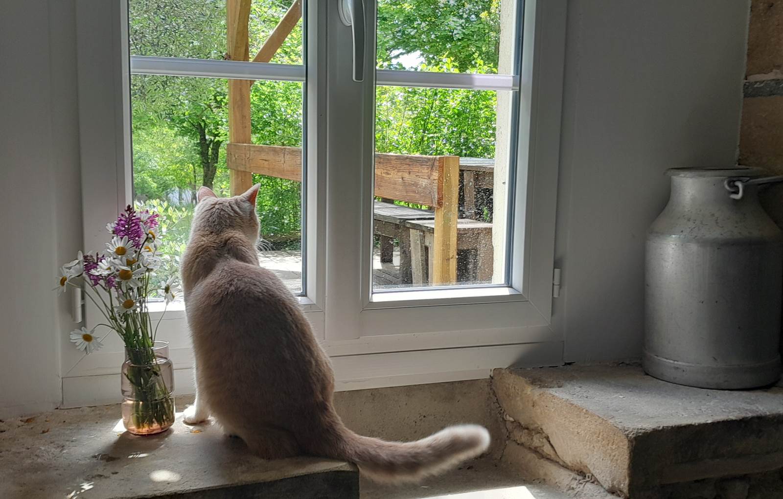 Domaine_de_Calabel©_Pouylebon_vacances_piscine_gers-carousel