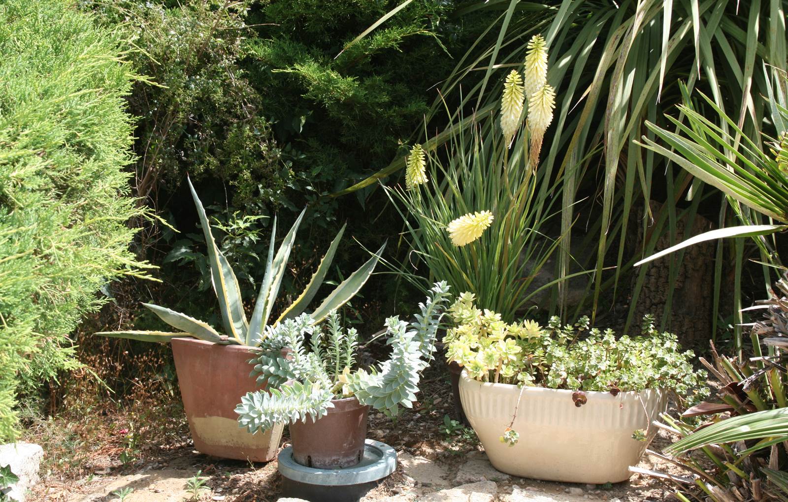 Jardin mediterranéen-carousel
