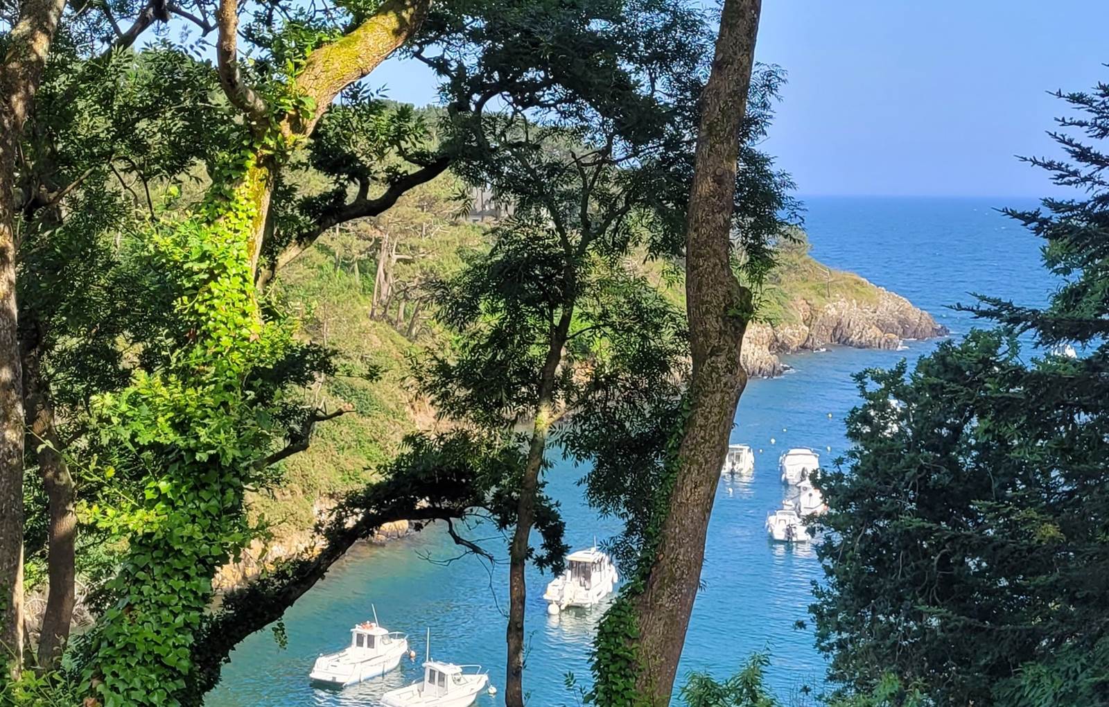 Ria de Brigneau-carousel