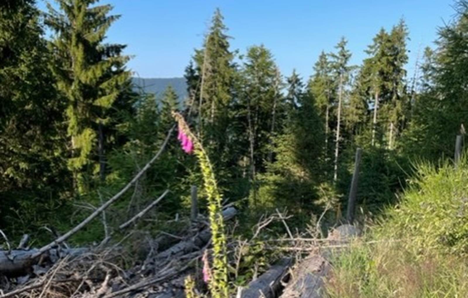 thumbnail_IMG_9249-carousel