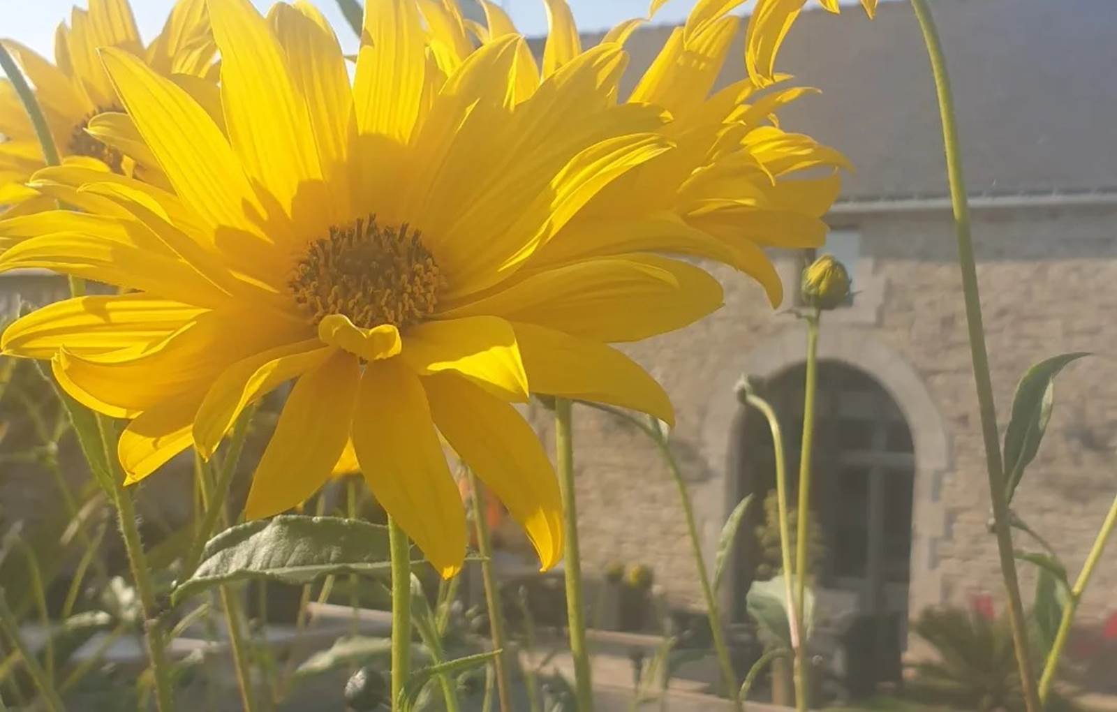 Vue depuis le spa-carousel