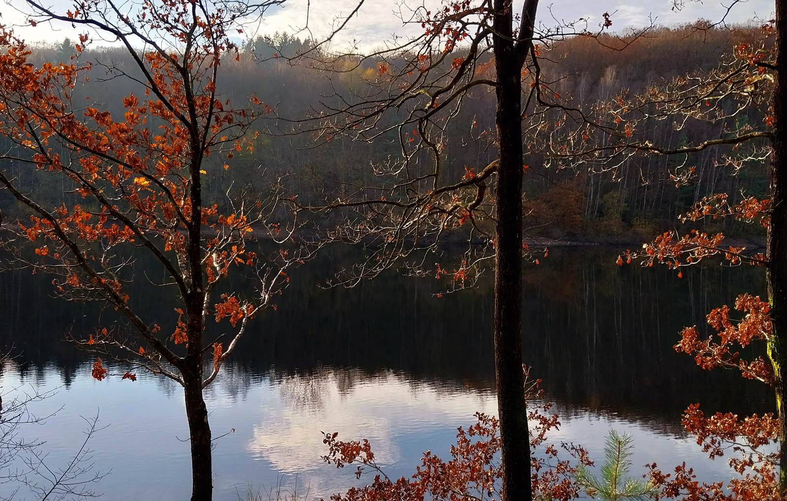Barrage du Ry de Rome-carousel