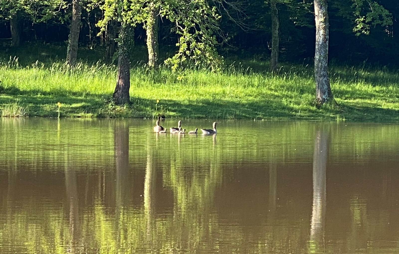 Gite-Etrigny-lacourquinousrelie-environnement_surroundings-carousel