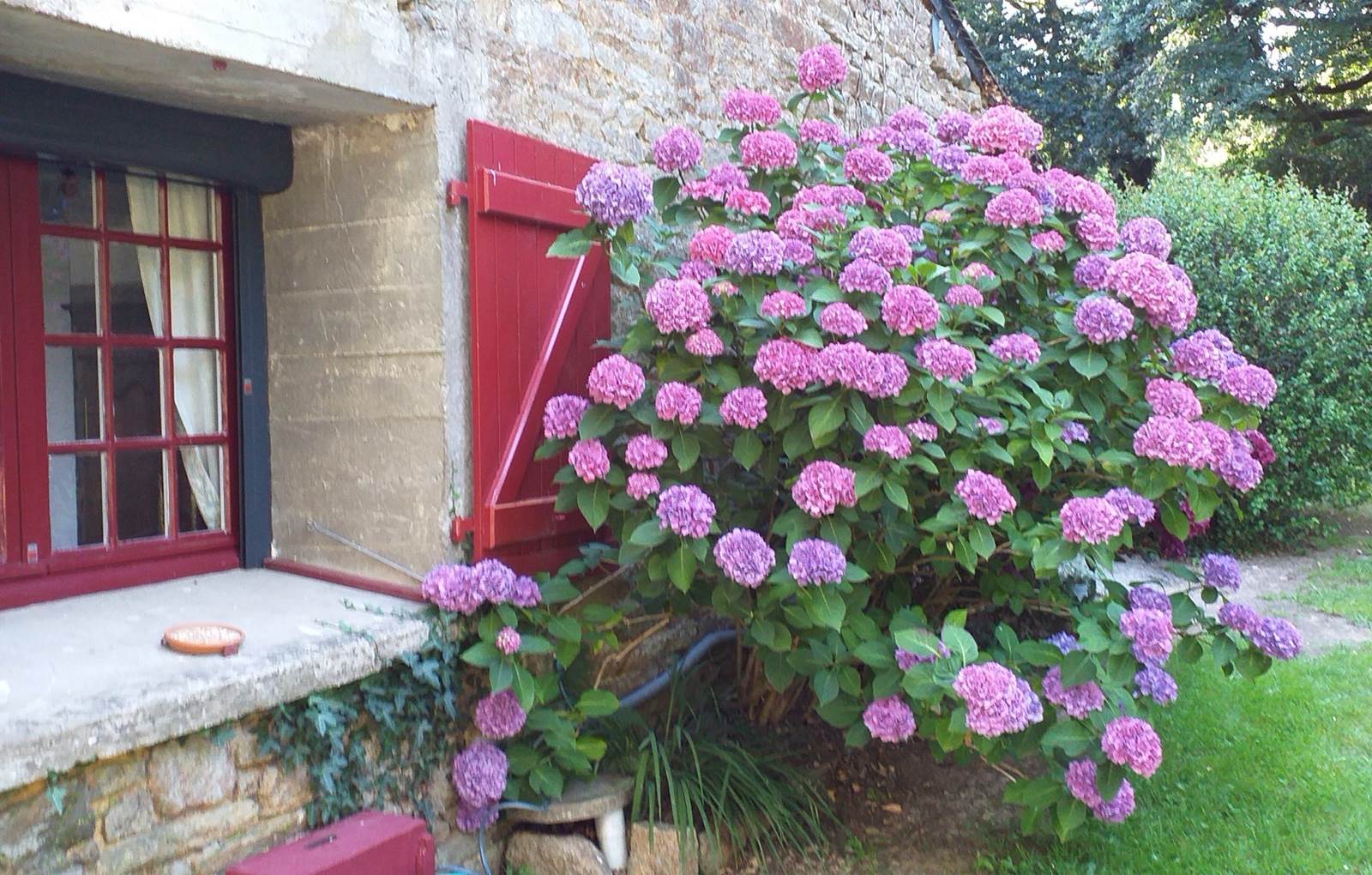 Les Hortensias-carousel