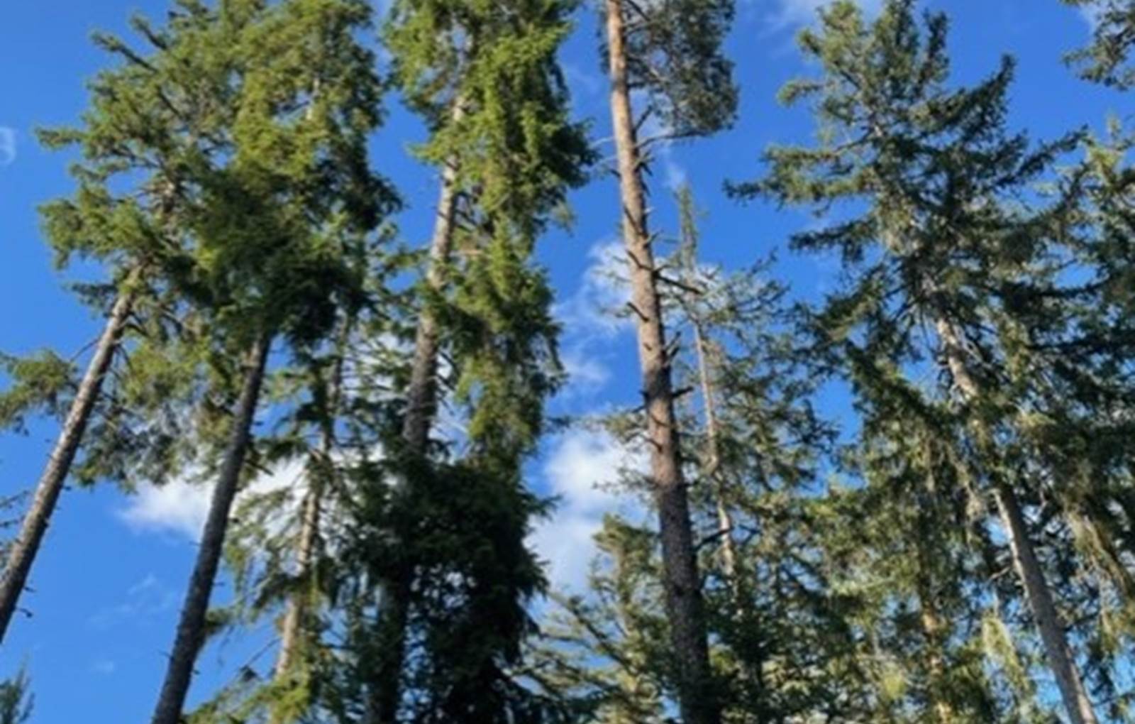 thumbnail_IMG_9472-carousel