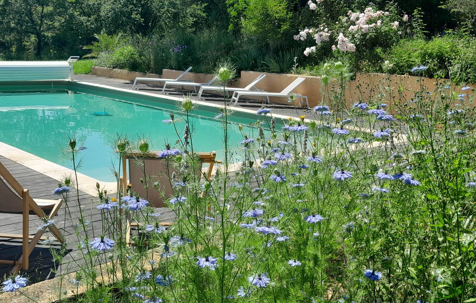 Domaine_de_Calabel©_Pouylebon_vacances_piscine_gers-carousel