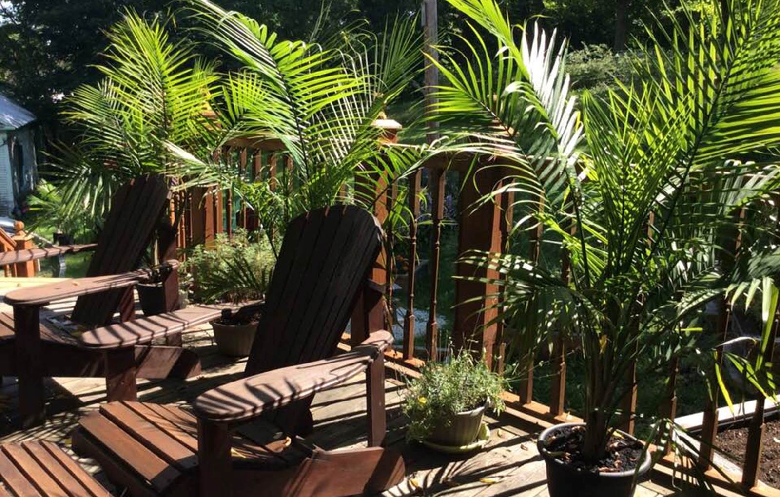 L'Ile de Garde B&B la terrasse-carousel