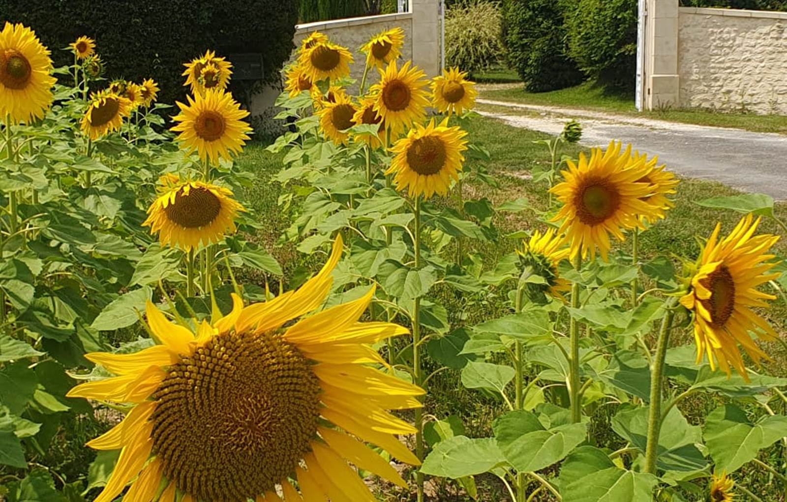 portail d'entrée-carousel