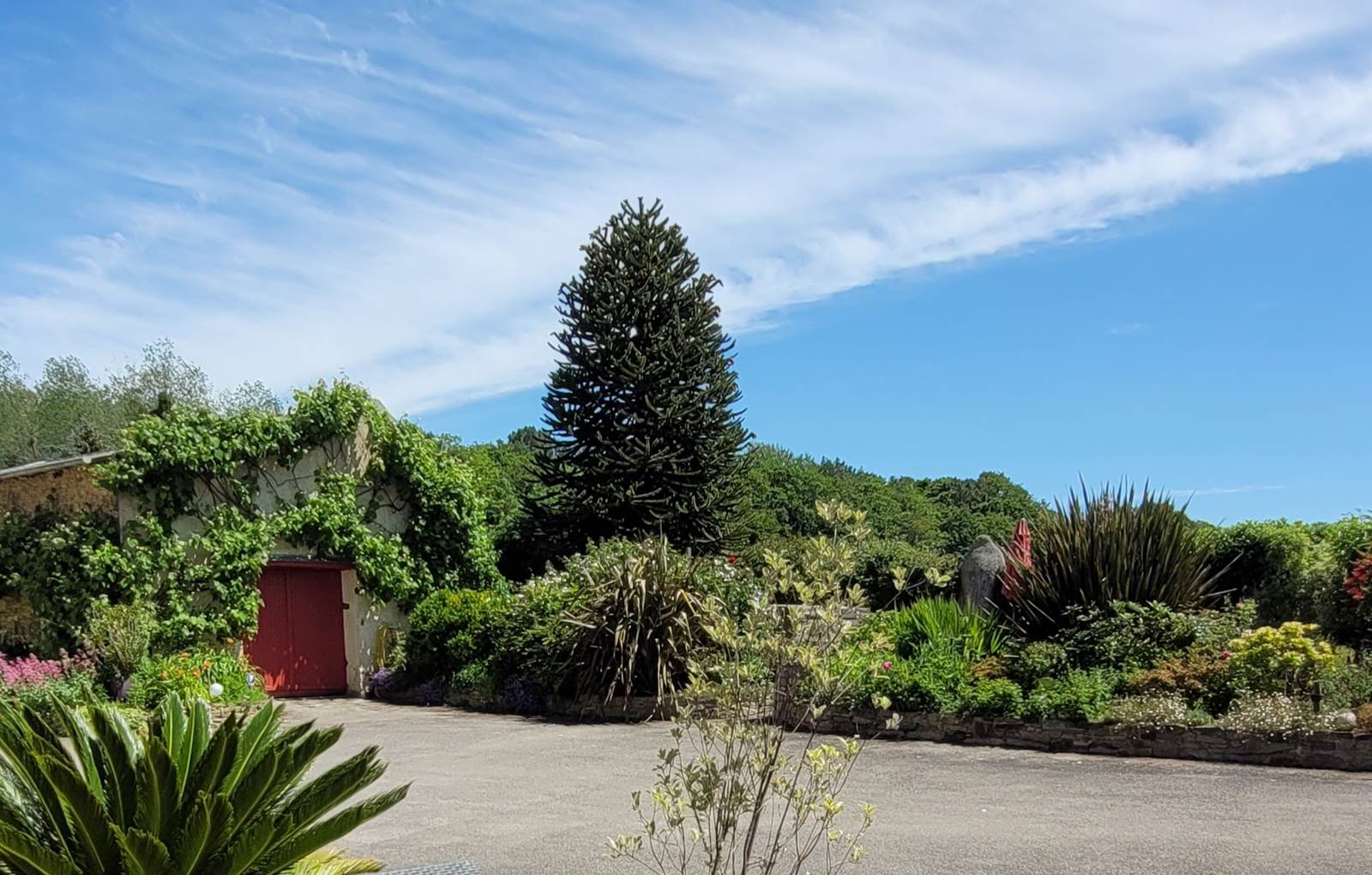 Depuis le salon de la terrasse-carousel