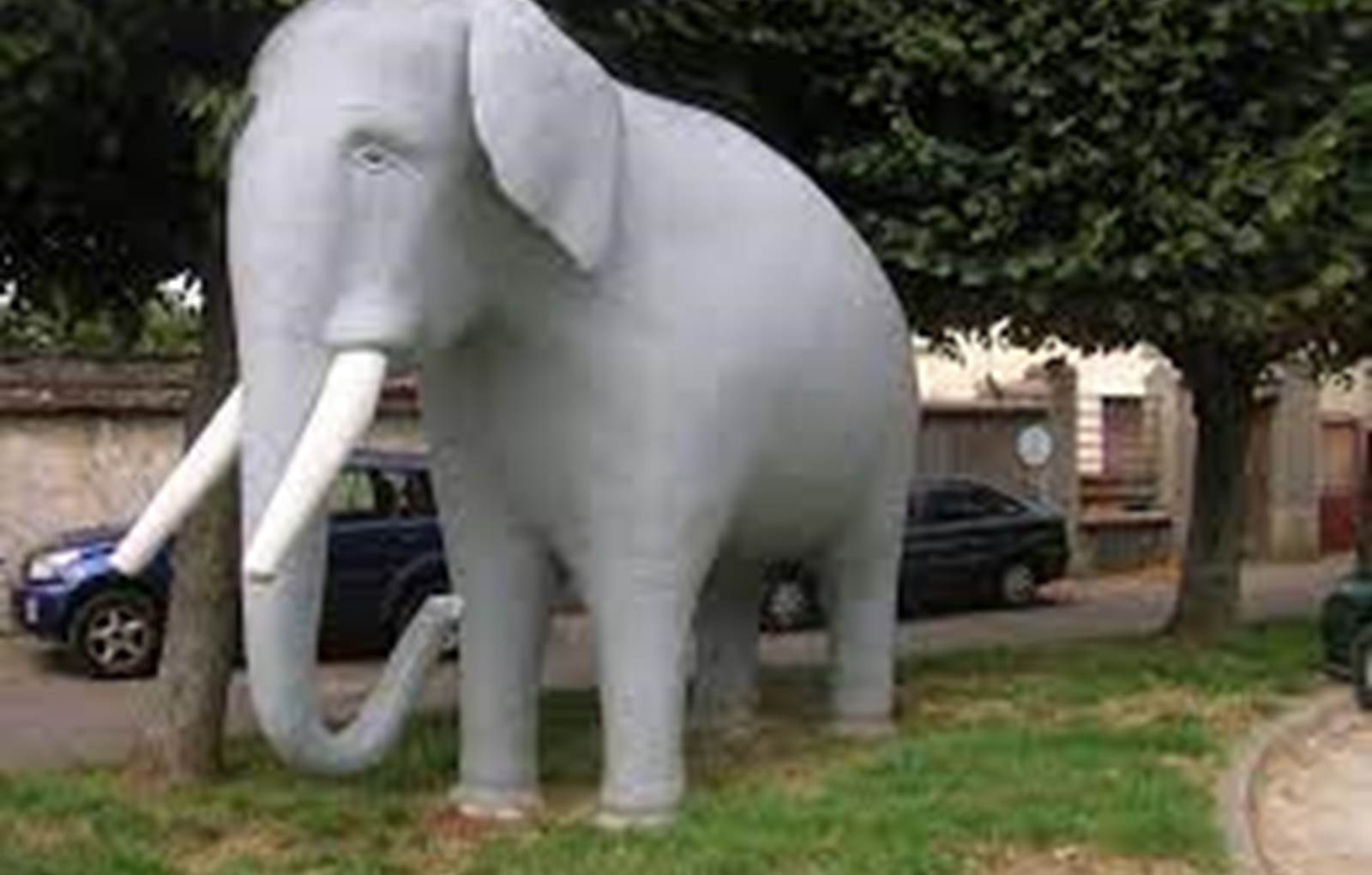 ELEPHANT EMBLEME DE NOTRE QUARTIER-carousel