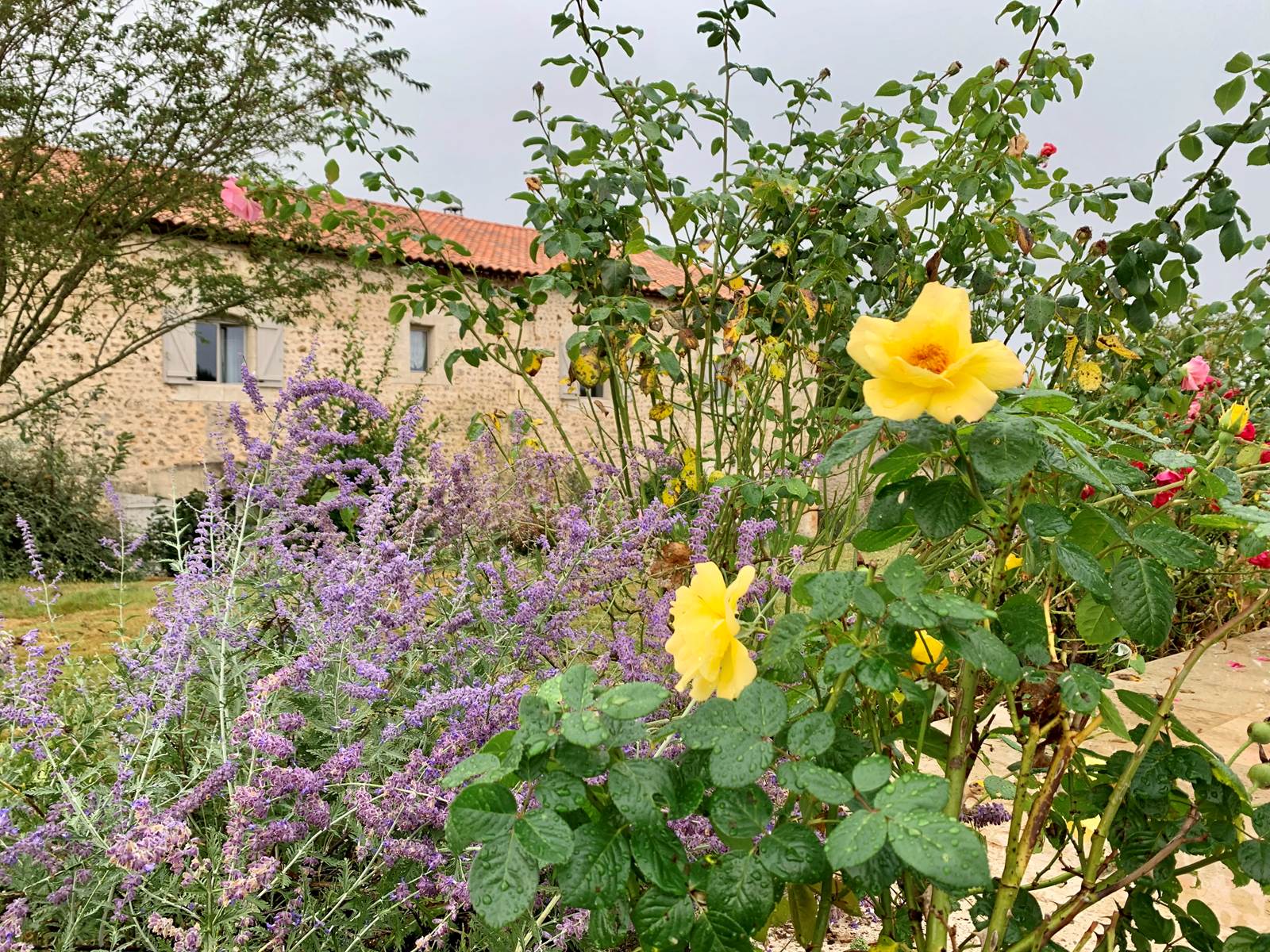 Chambre d'hôtes Tendance Campagne Jardin