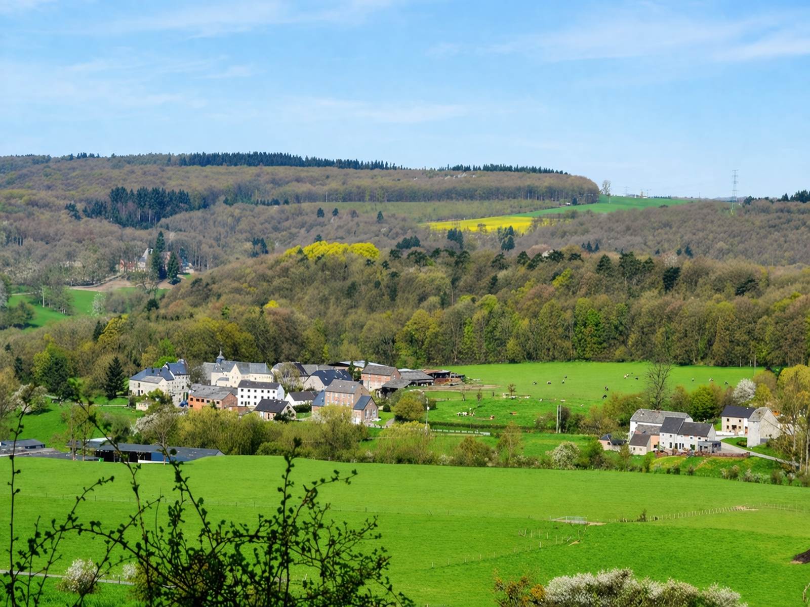 4210f902-ba21-4aeb-98e7-111ec9f6a0b5