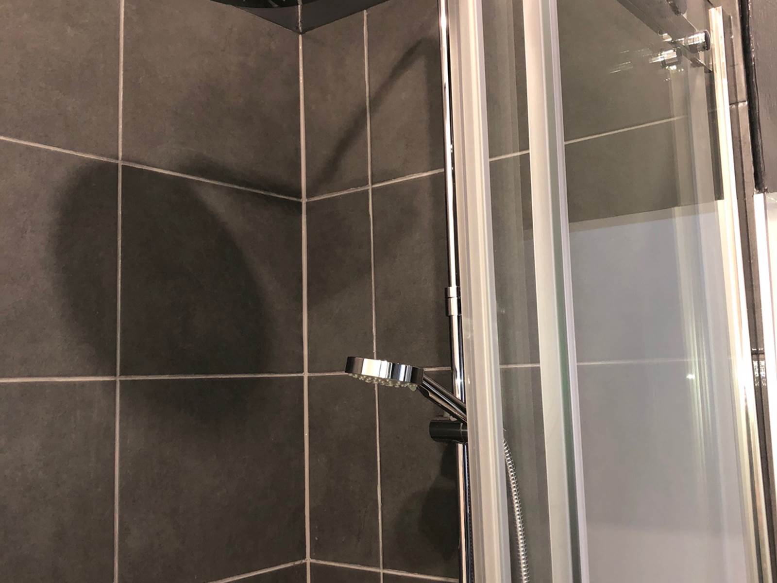 La douche avec pommeau pluie