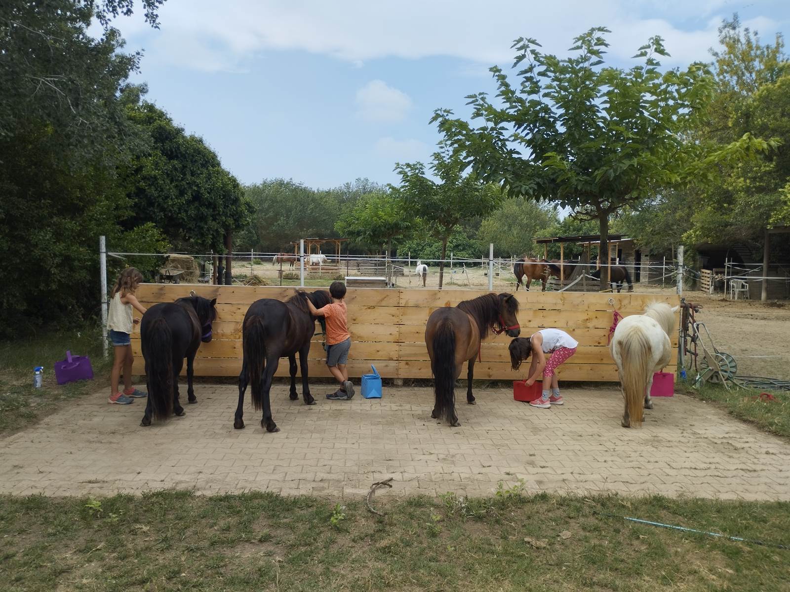 balade à poney Pyrénées-Orientales  promenade poney 66  activité enfant Pyrénées-Orientales  poney club 66  centre équestre Pyrénées-Orientales  balade à cheval 66  activité famille Pyrénées-Orientales  équitation enfant 66  balade à poney près de Perpignan  balade à poney bompas, claira, toreilles, barcares, canet en roussillon, sainte marie, Thuir, Pézilla, elne, cabestany, rivesaltes, saint estève-galerie