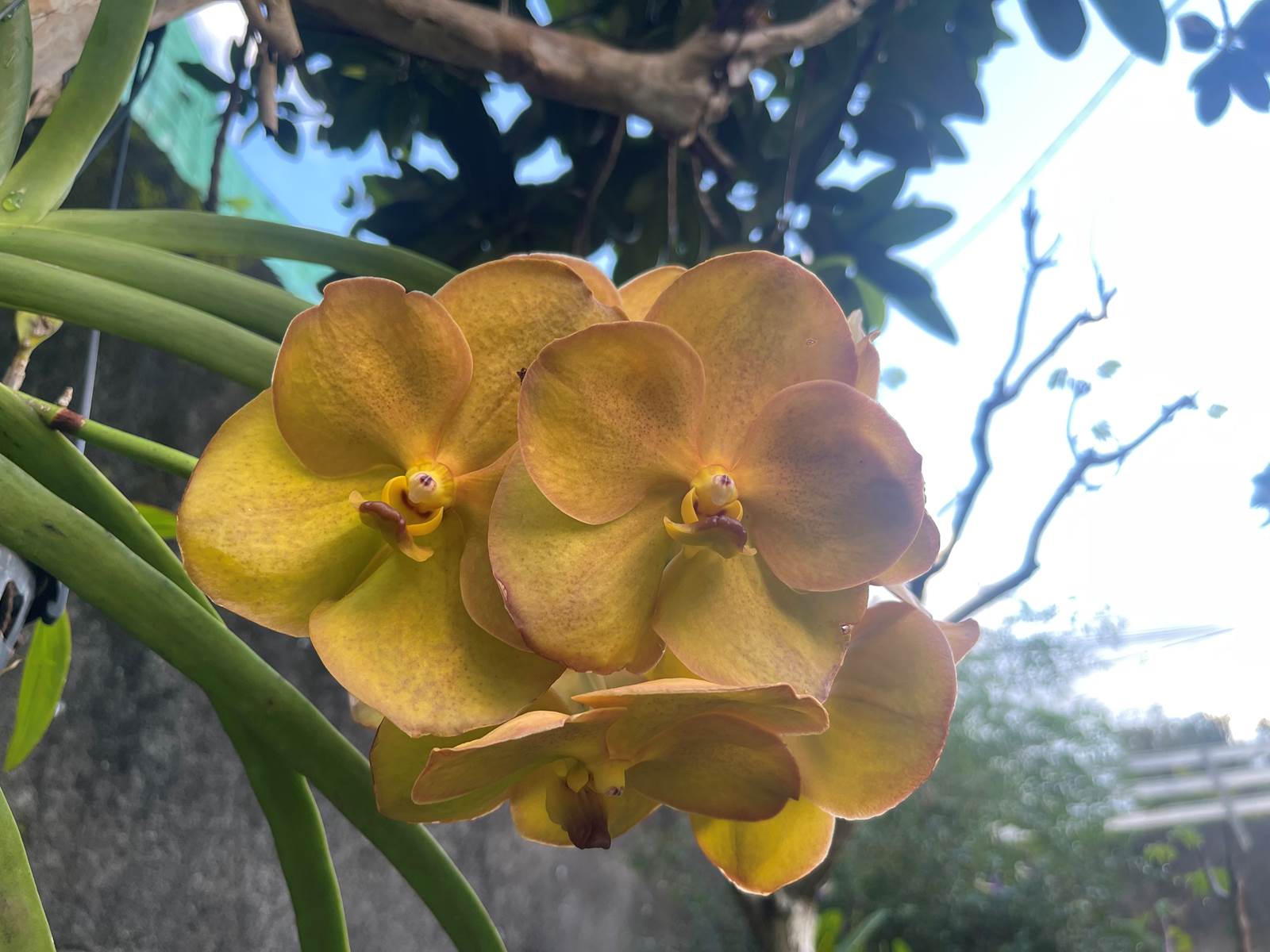 Les merveilles de la nature