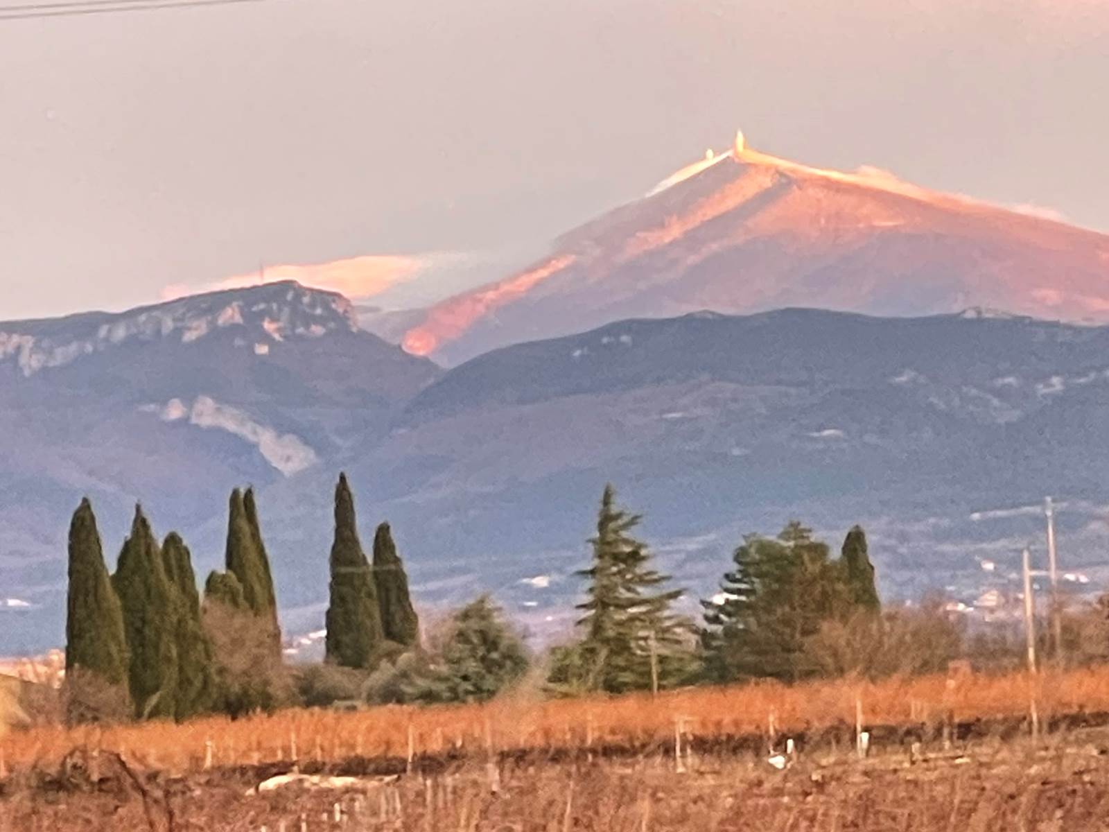 photo_1 (4)-carousel