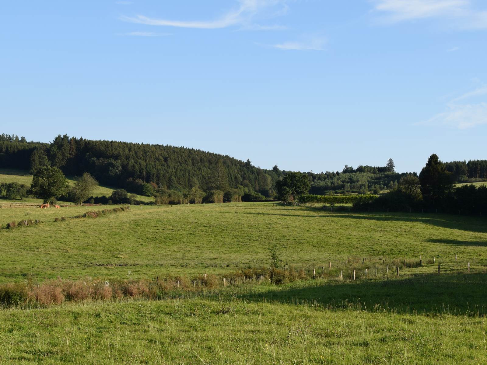 Vue arrière Sud-Est