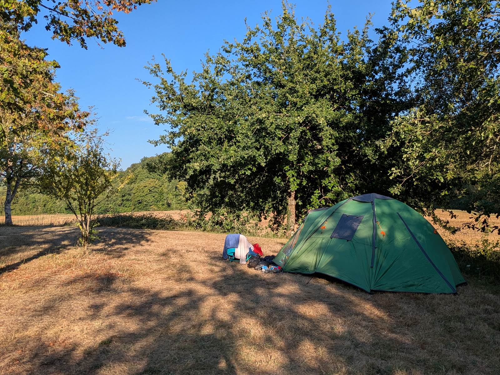 PXL_20250803_173003174.MP-carousel