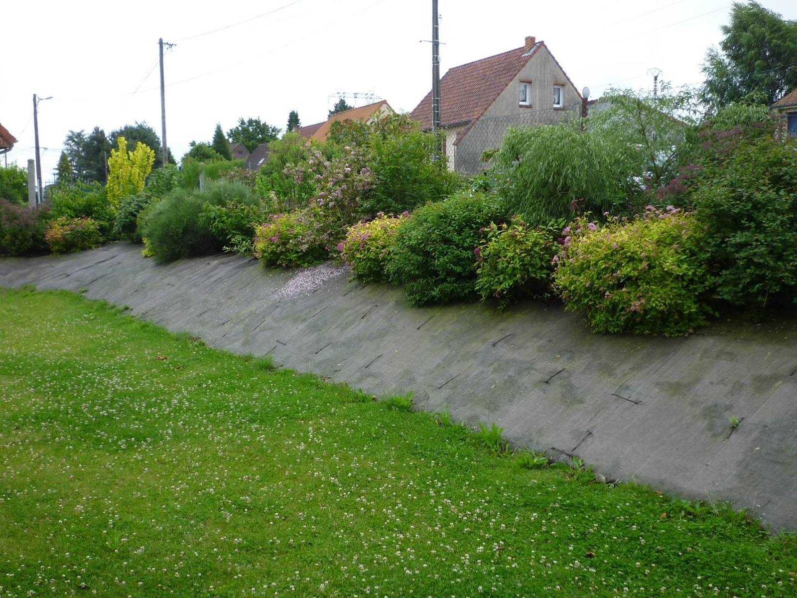 Jardin du Gite La Ferme des 2 chartreuses (Copy)