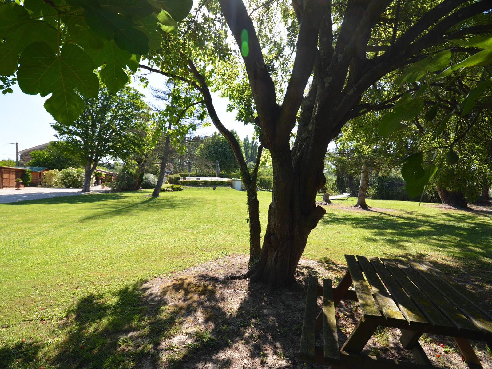 le parc ombragé du Mas Julien