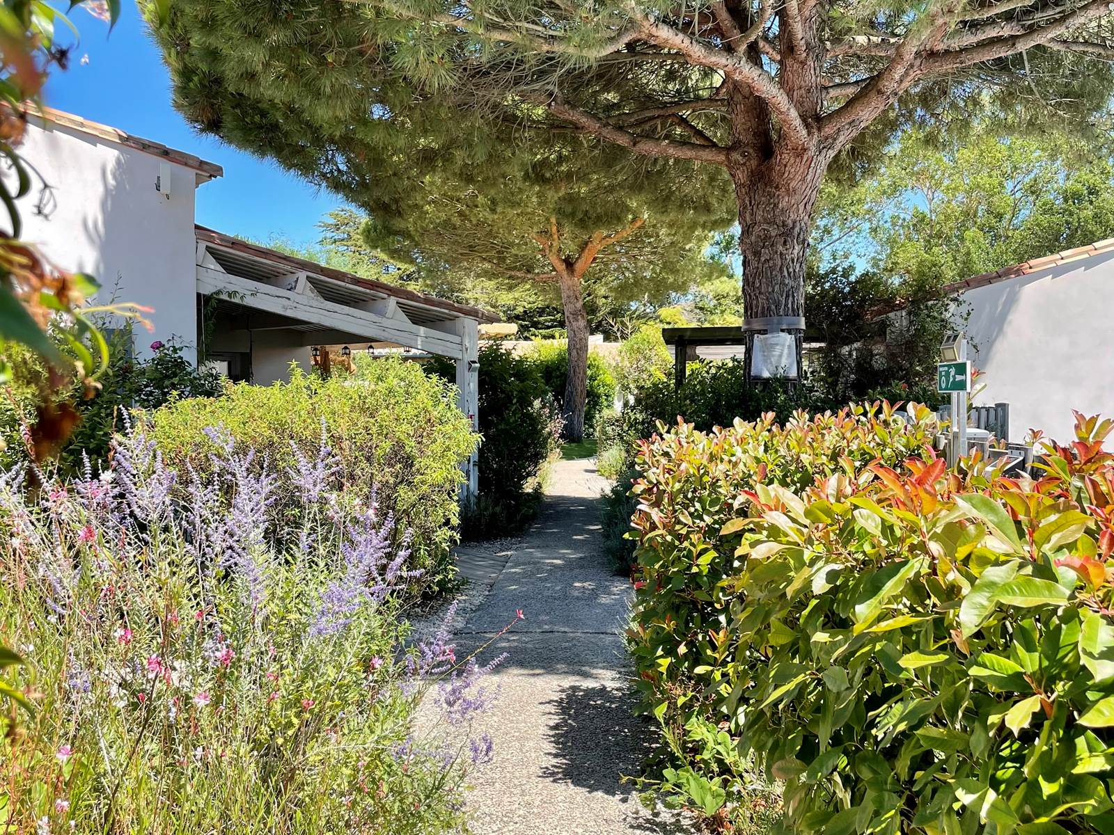 Jardin côté Piscine
