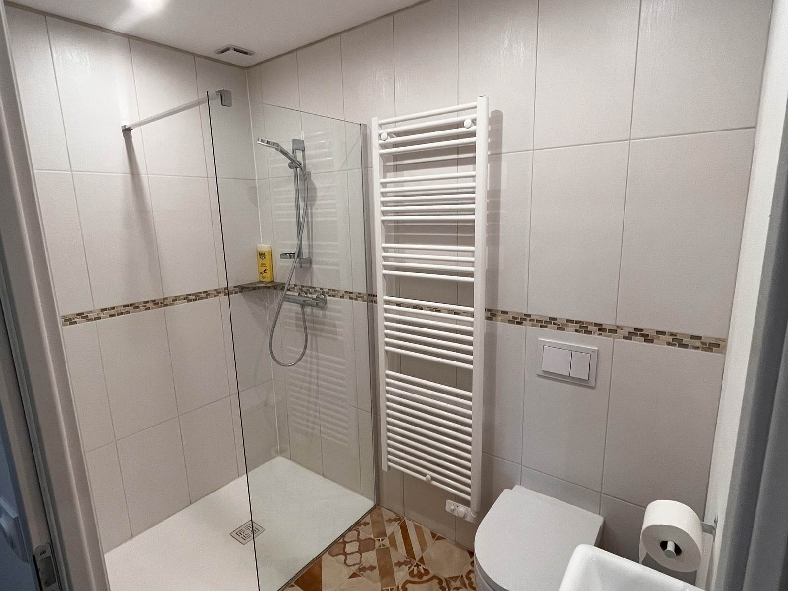 Salle d'eau + Toilettes RDC