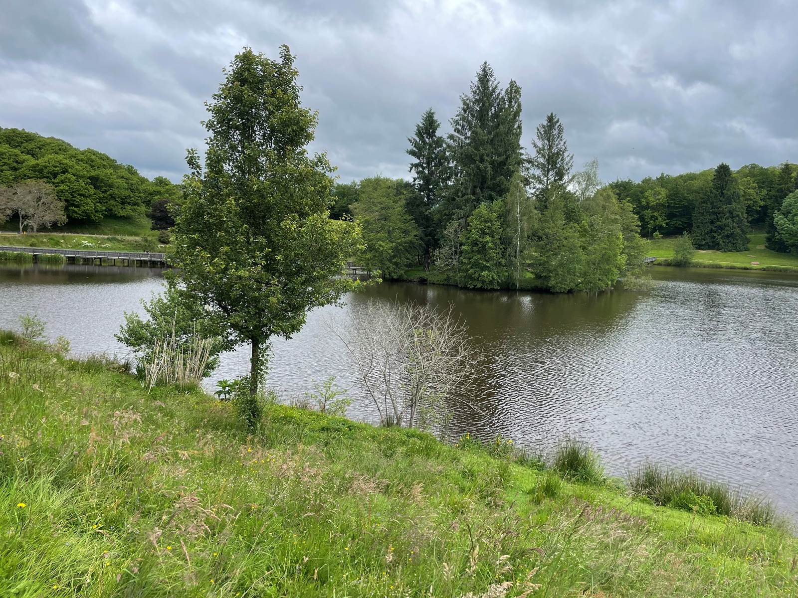 Gîte de la Brunerie plan d'eau