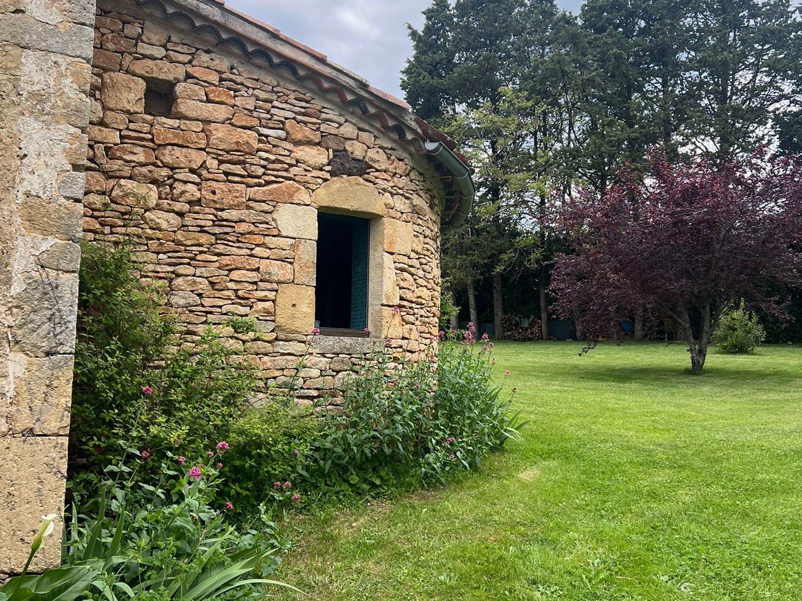 Vue Jardin arboré 1