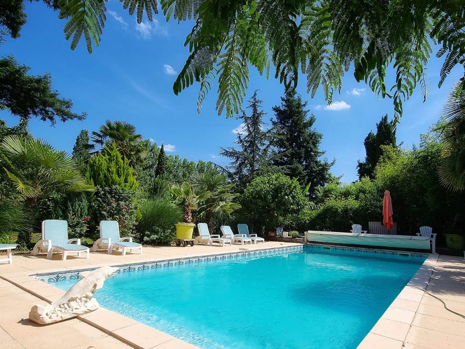 Vue sur la piscine de la terrasse