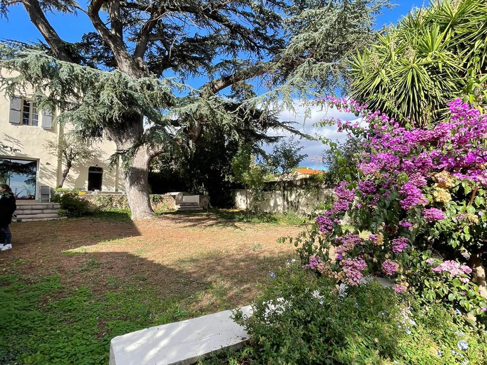 La Bastide du Cèdre-jardin et cedre